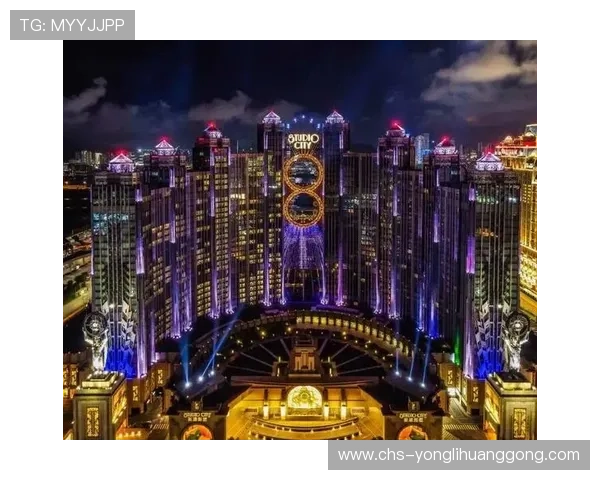 澳门哪家赌场好提供丰富娱乐项目，满足不同玩家需求的优质赌场介绍