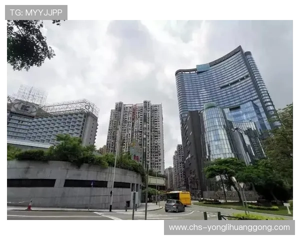 新濠锋娱乐场所怎么样探讨其游戏设备先进性与场所安全保障措施