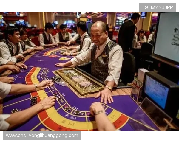 澳门六大赌牌的申请流程、所需条件以及获得赌牌的最新政策变化