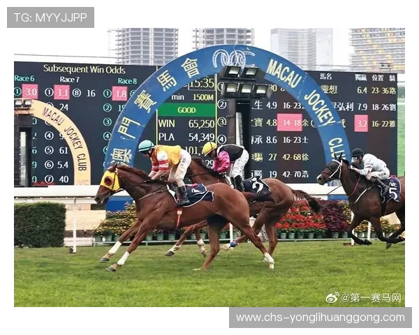全面解析马会投注客户端的下载安装流程及常见问题解决方案,确保用户顺利体验高效投注
